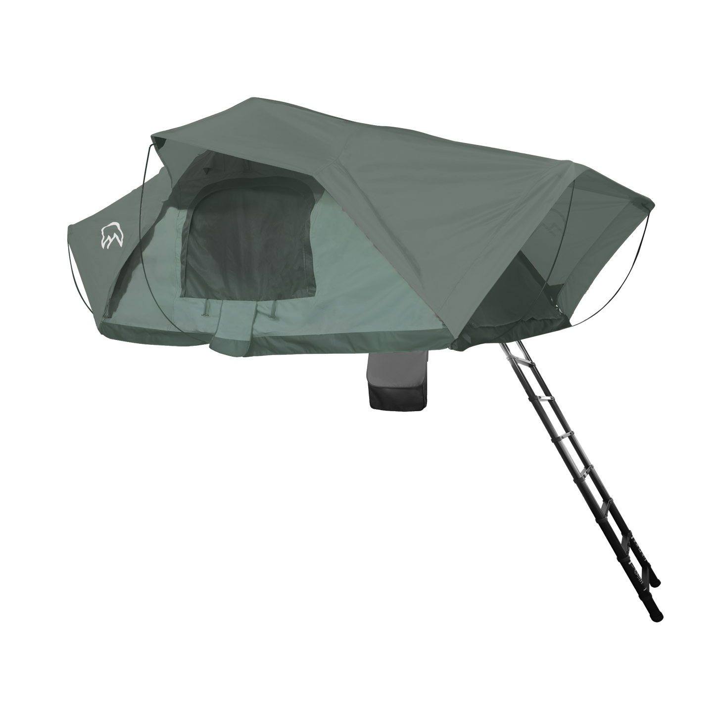 CARPA TERRA FORCE LANCO 2-3P COLORES