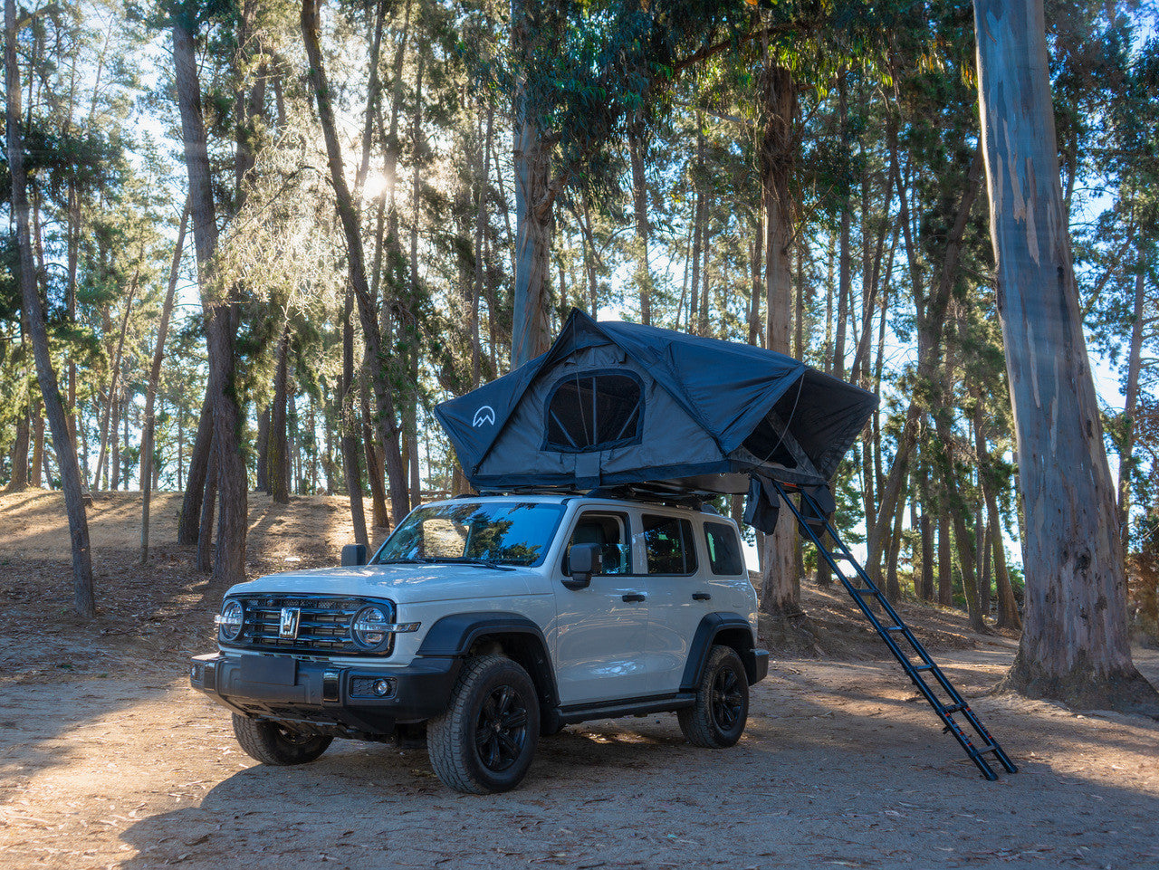 CARPA TERRA FORCE LANCO 2-3P COLORES